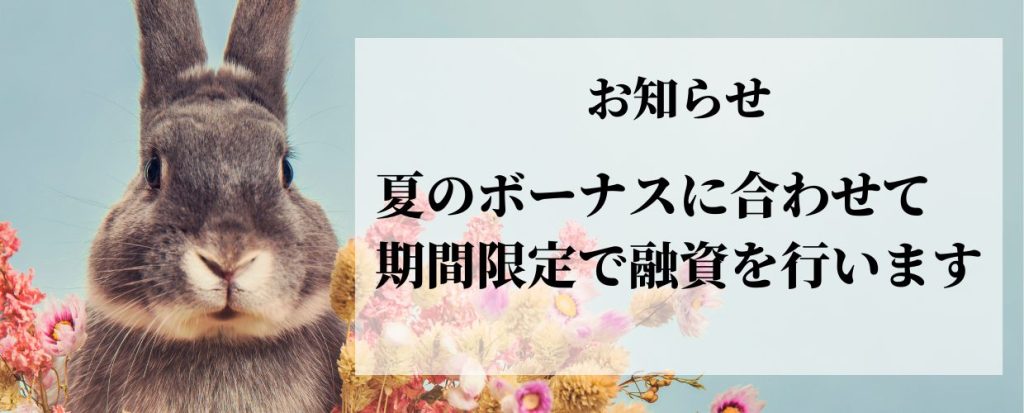 夏のボーナスに合わせて期間限定で融資を行います‼