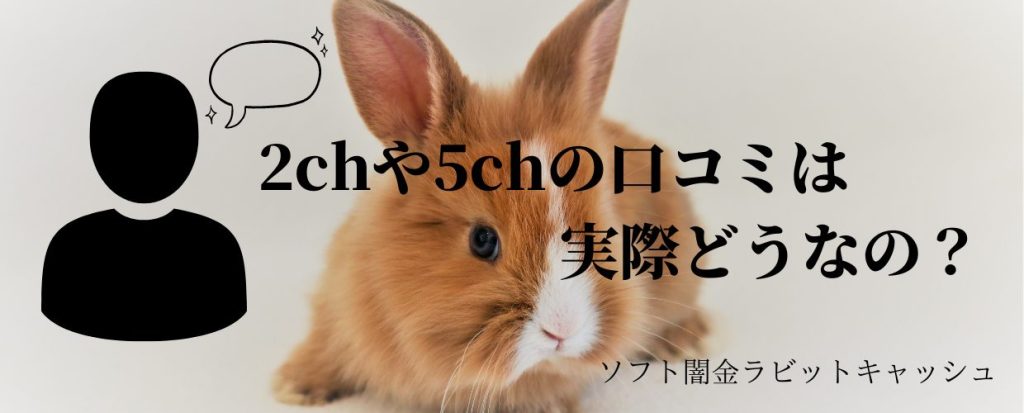 2chや5chのソフト闇金の口コミは正確なの？！その真相を暴露します！！